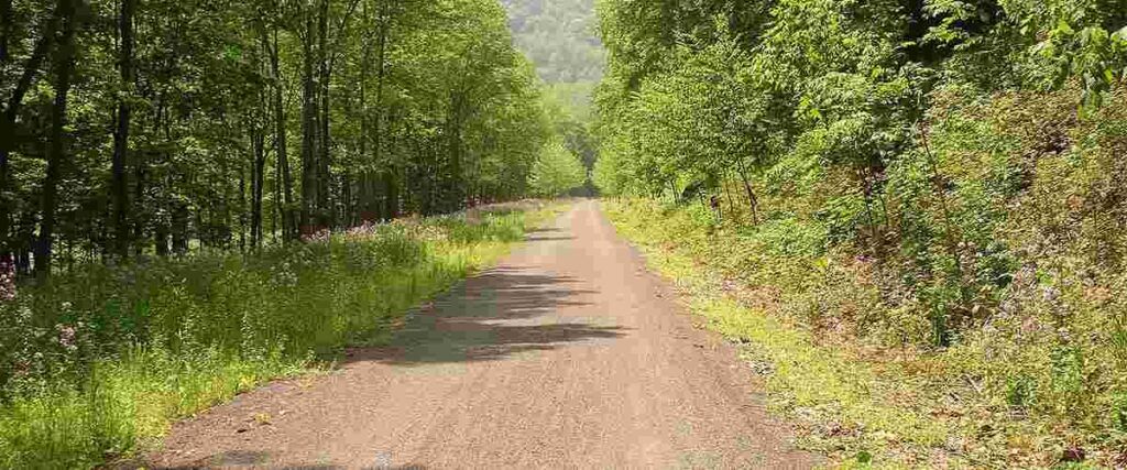 11 Fantastic Rail Trails in Pennsylvania that Anyone Can Enjoy - Uncovering  PA