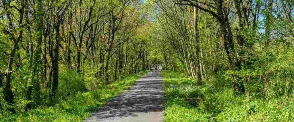 Beacon Hills Walking And Running Trail - Jacksonville, Florida, USA