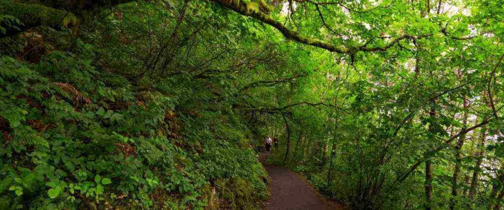 Beacon Hills Walking And Running Trail - Jacksonville, Florida, USA