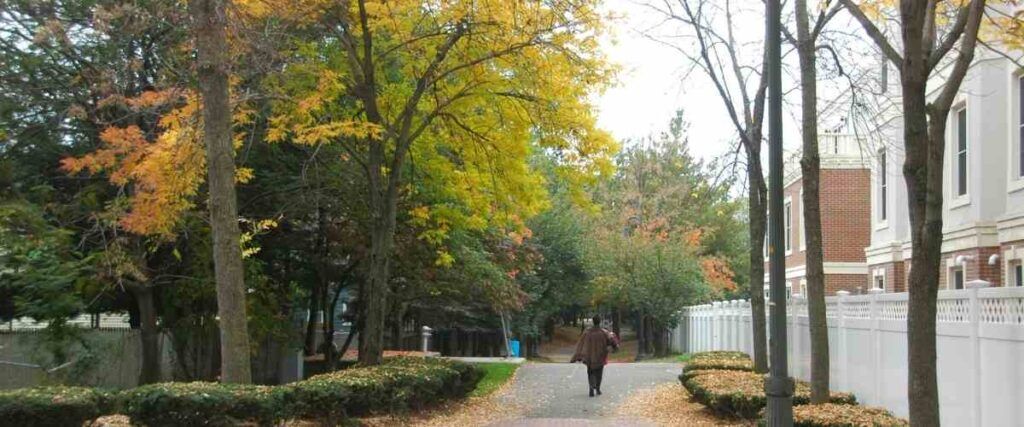 Beacon Hill Neighborhood Linear Park